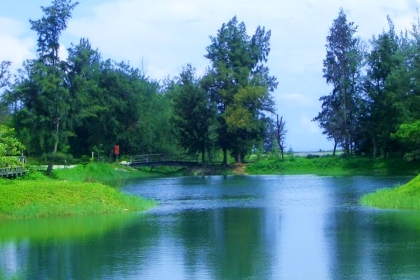 森林湖面景觀